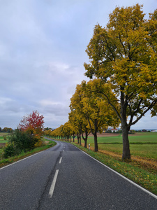 Das Bild zeigt mehrere Personen, die in einer Küche zusammenarbeiten, vermutlich bei einem Kochkurs oder einer Gruppenkochaktivität. Sie tragen Schürzen und sind mit der Zubereitung von Zutaten beschäftigt.