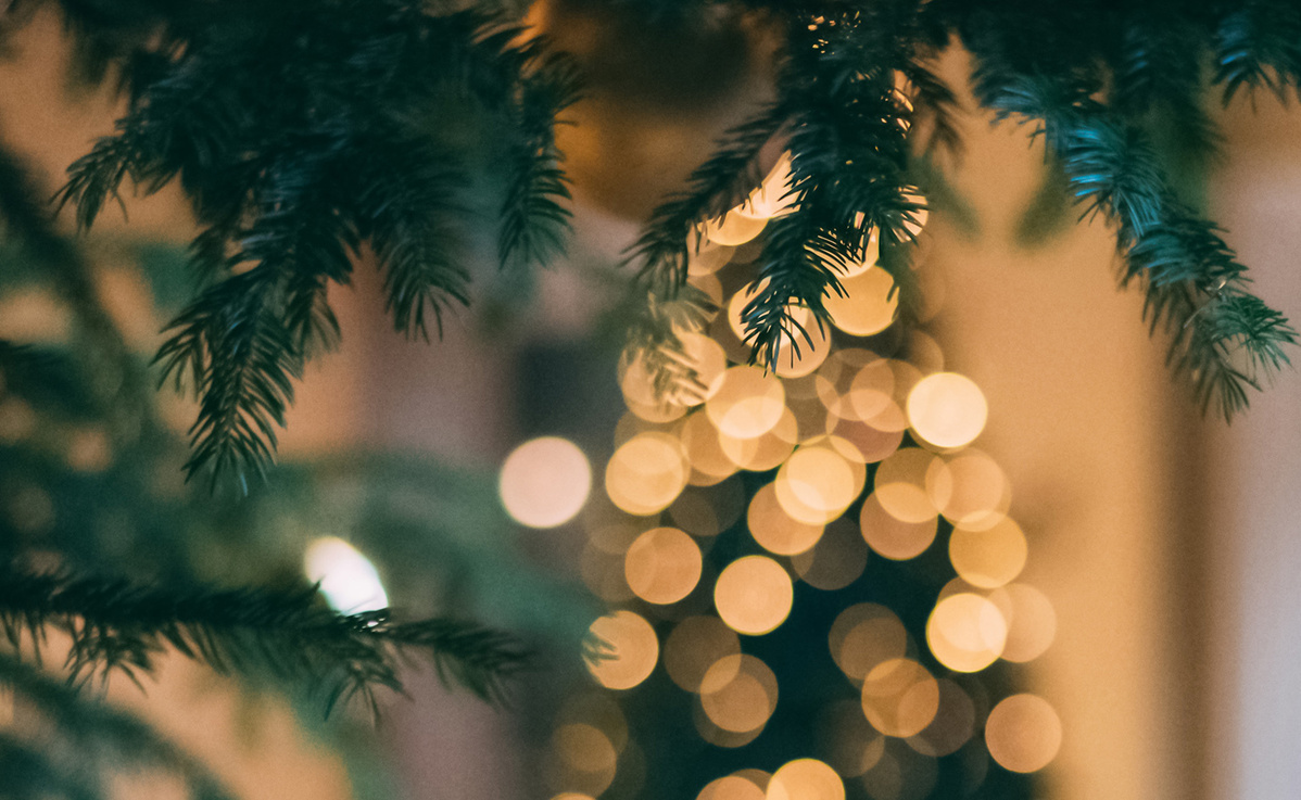 KI generiert: Das Bild zeigt eine Auswahl an Wurzelgemüsen, darunter lila Karotten, Pastinaken und eine Steckrübe, auf einem Holztisch arrangiert.