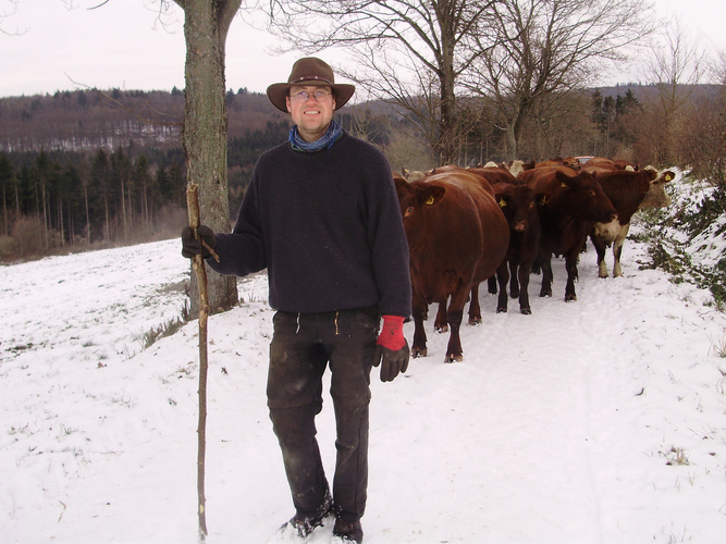 KI generiert: Ein Mann mit einem Stock steht im Schnee vor einer Herde Rinder.