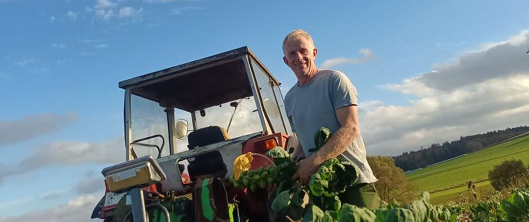 KI generiert: Auf dem Bild steht ein lächelnder Mann mit frisch geerntetem Gemüse auf einem Feld neben einem Traktor. Die Szene findet unter klarem Himmel und in ländlicher Umgebung statt.