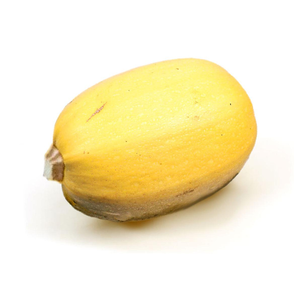 Produktfoto zu Spaghetti Kürbis