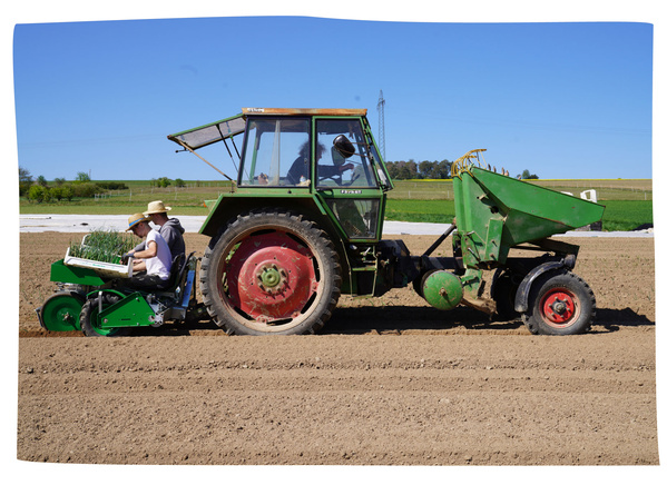 Traktor auf dem Feld