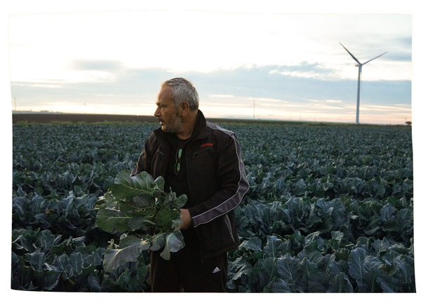 Inhaber von Azienda Di Lauro