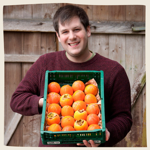 KI generiert: Ein Mann hält eine Kiste mit mehreren reifen Kakis in den Händen. Der Hintergrund besteht aus Holzbrettern.