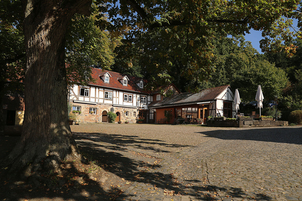 Das Hofgut Friedelhausen