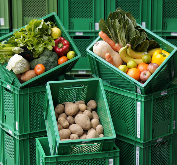 KI generiert: Zwei Frauen stehen vor einer Holzwand; eine von ihnen hält eine grüne Kiste mit verschiedenen Lebensmitteln wie Gemüse und Flaschen. Das Bild vermittelt einen ländlichen oder marktorientierten Kontext.