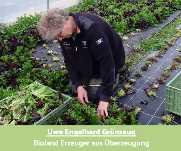 Erzeuger Uwe Engelhard Grünzeug