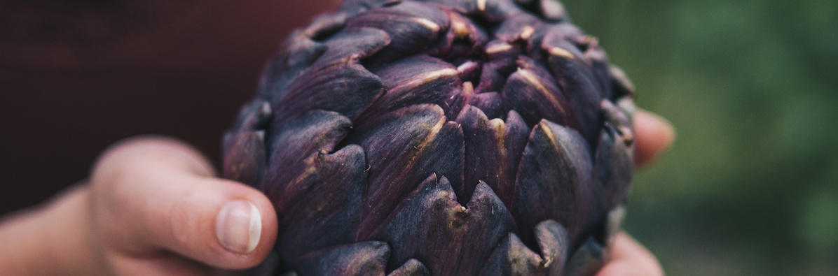 Warenkunde Obst und Gemüse in der Ökokiste