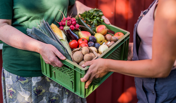 KI generiert: Zwei Personen halten zusammen eine Kiste mit frischem Obst und Gemüse.
