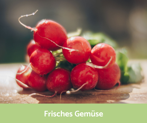 Frisches Bund Radieschen auf einem Holzbrett