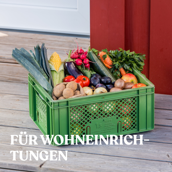 Regionaler Erzeuger mit Tomaten im Gewächshaus