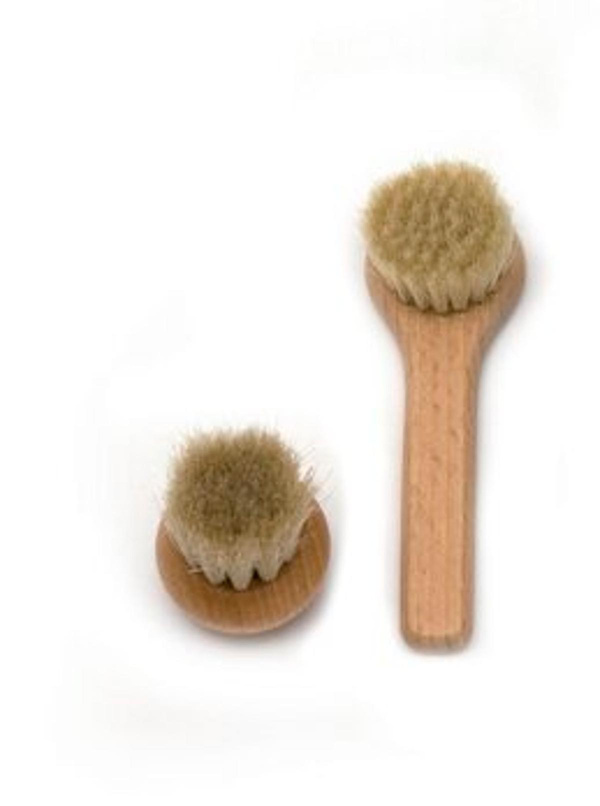 Produktfoto zu Champignonbürste