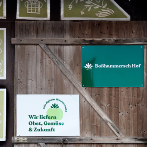 KI generiert: Das Bild zeigt zwei Schilder an einer Holzwand, eines mit dem Text "Boßhammersch Hof" und das andere mit der Aufschrift "Wir liefern Obst, Gemüse & Zukunft". Sie bewerben einen digitalen Wochenmarkt.