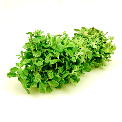 Produktfoto zu Majoran Bund