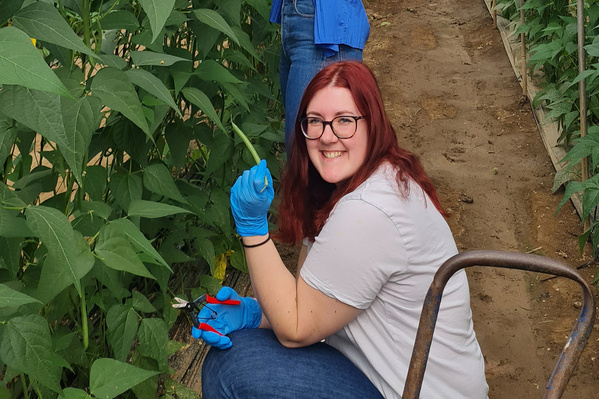KI generiert: Person im Gewächshaus, lächelnd, hält grüne Bohne in der Hand.