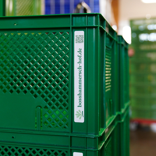 KI generiert: Grüne Kiste mit der Aufschrift: bosshammersch-hof.de.