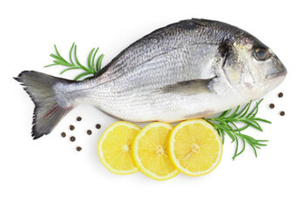 Produktfoto zu Dorade ca. 400g