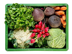 Produktfoto zu Regionalkiste groß