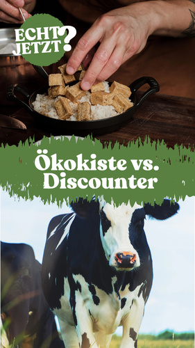 zweigeteiltes Bild: oben Pfanne mit Essen, unten Kuh auf Weide mit dem Slogan: Ökokiste vs. Discounter. 