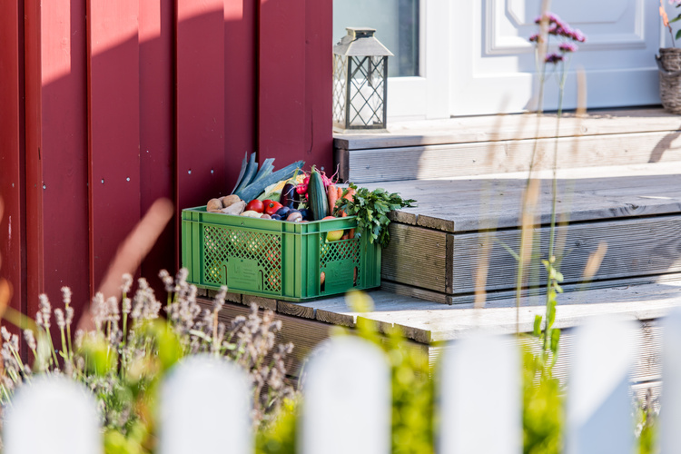 KI generiert: Eine Kiste mit frischem Gemüse steht vor der Haustür auf der Holztreppe.