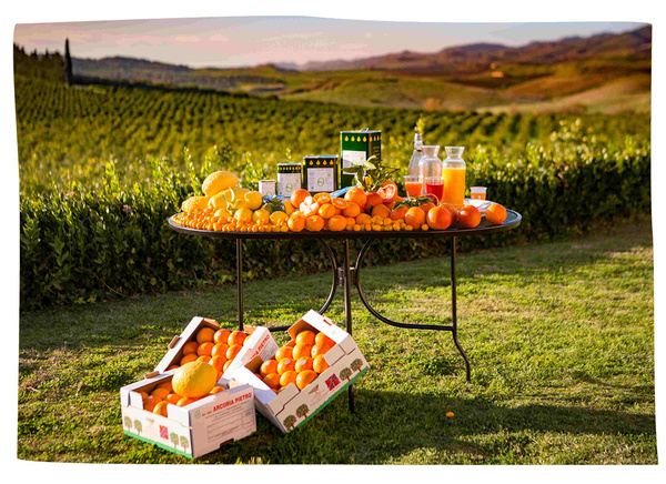 Einige Zitrusfrüchte sowie Säfte angerichtet auf einem Tisch