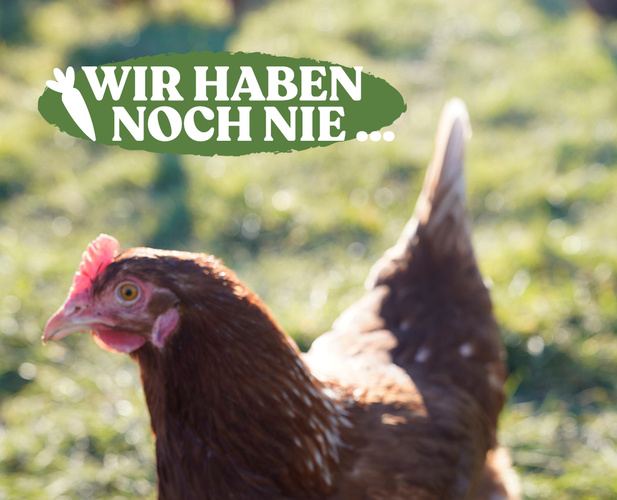 Huhn auf grüner Wiese