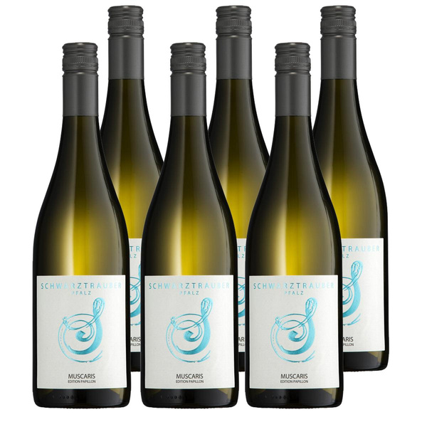Produktfoto zu Kiste Schwarztrauber Muscaris feinfruchtig 6x0,75L