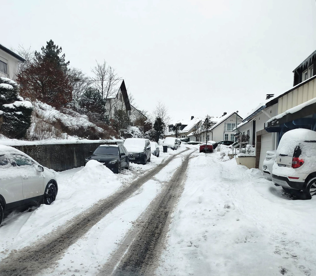 KI generiert: Das Bild zeigt eine Auswahl an Wurzelgemüsen, darunter lila Karotten, Pastinaken und eine Steckrübe, auf einem Holztisch arrangiert.