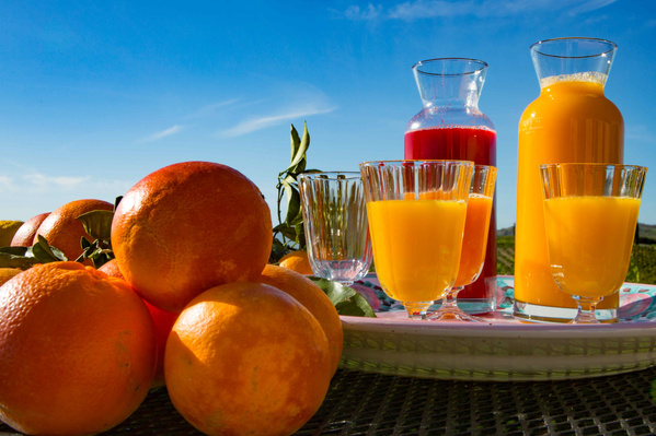 Zitrusfrüchte und Säfte 