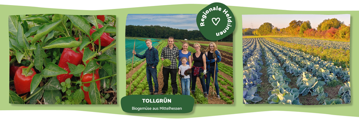 Tollgrün