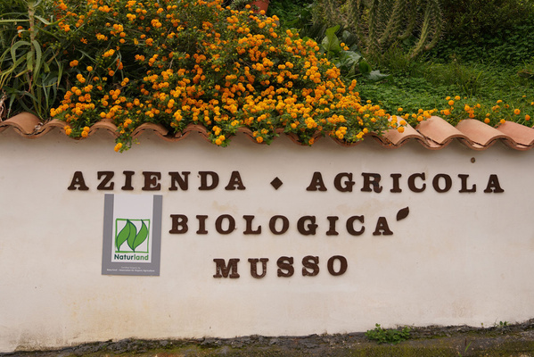 Hof von L'arcobaleno