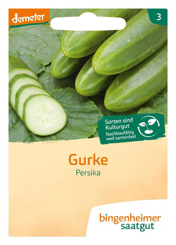 Produktfoto zu Bingenheimer Saatgut Freiland Gurken Persika