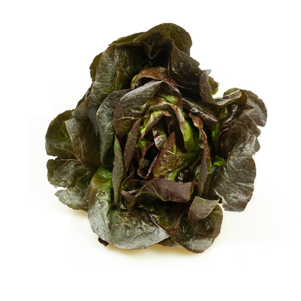 Produktfoto zu Romanasalat Mini