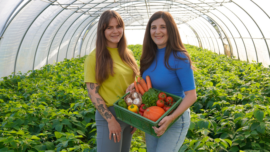 KI generiert: Zwei Personen in einem Gewächshaus halten eine Kiste mit frischem Gemüse.
