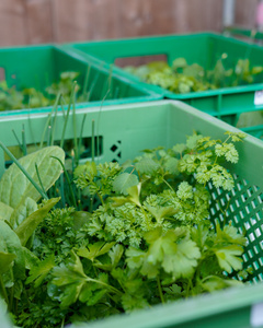 KI generiert: Das Bild zeigt mehrere Personen, die in einer Küche zusammenarbeiten, vermutlich bei einem Kochkurs oder einer Gruppenkochaktivität. Sie tragen Schürzen und sind mit der Zubereitung von Zutaten beschäftigt.