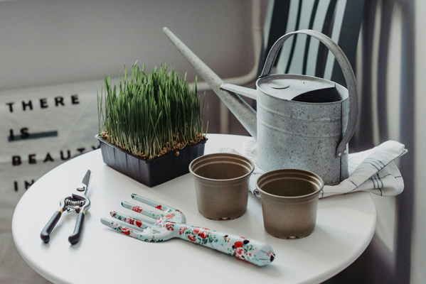 KI generiert: Gartengeräte und Pflanzen auf Tisch; Text: "THERE IS BEAUTY IN".