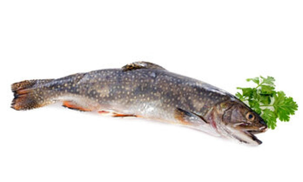 Produktfoto zu Bachsaibling frisch ca. 500g