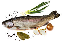 Forelle frisch ca. 350-500g