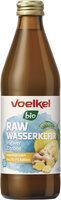 RAW Wasserkefir Zitrone Ingwer, kühlpflichtig