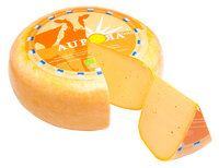 Aurora Gold Gouda Möhre