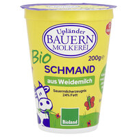 Sauermilcherzeugnis Schmand 24%